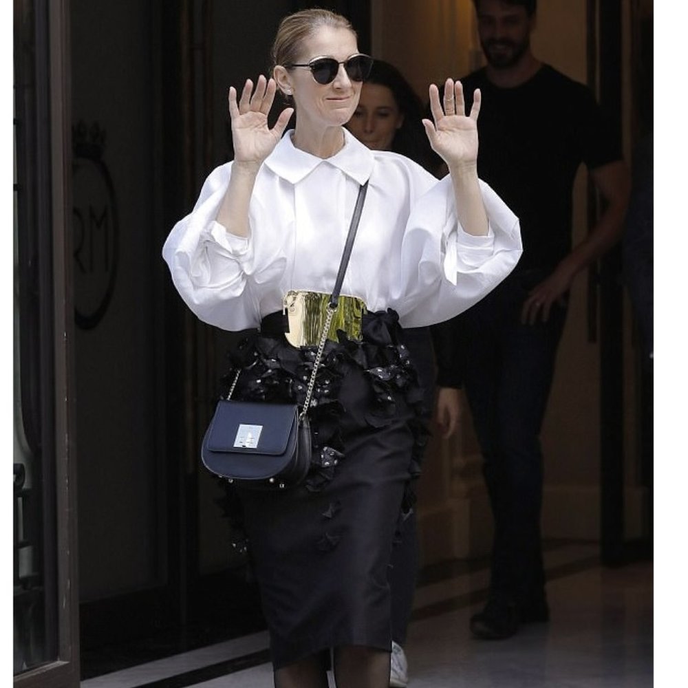 💥🇺🇸 Celine Dion Minuet Flap Closure Handbag